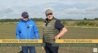 Žieminių rapsų augimo reguliavimas rudenį ir fomozės kontrolė